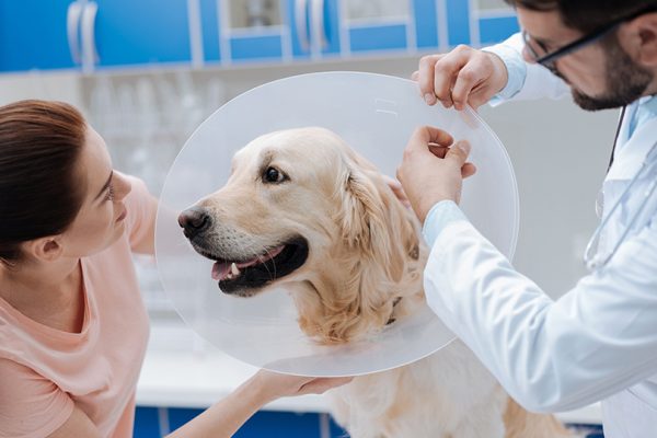 esterilizacion